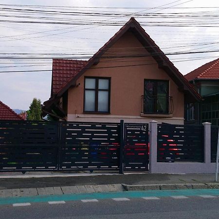 Haffner Studio Cluj-Napoca Luaran gambar