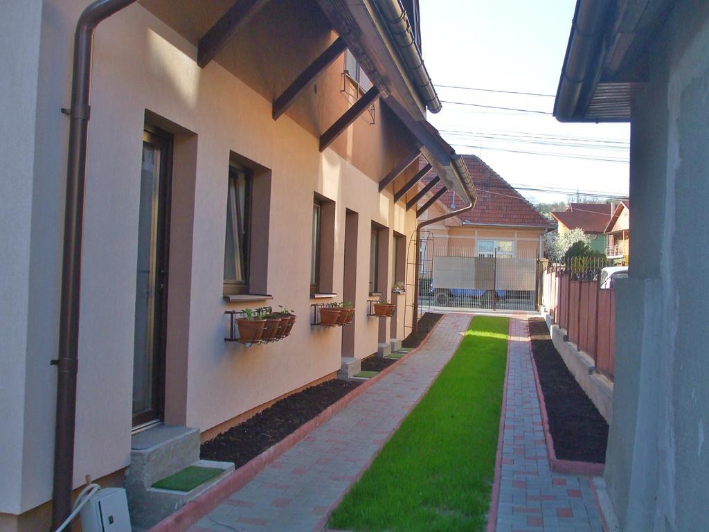 Haffner Studio Cluj-Napoca Luaran gambar