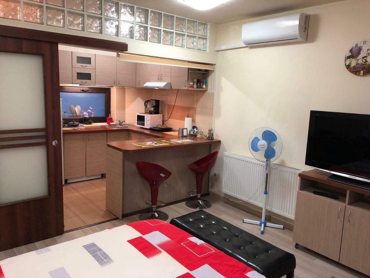 Haffner Studio Cluj-Napoca Luaran gambar